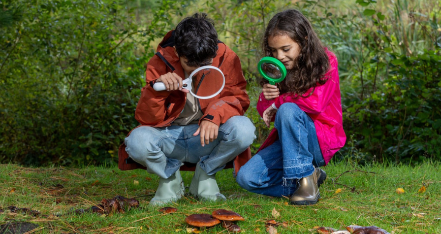 A couple of children investigate mini beasts using magnifying glasses at WWT Castle Espie